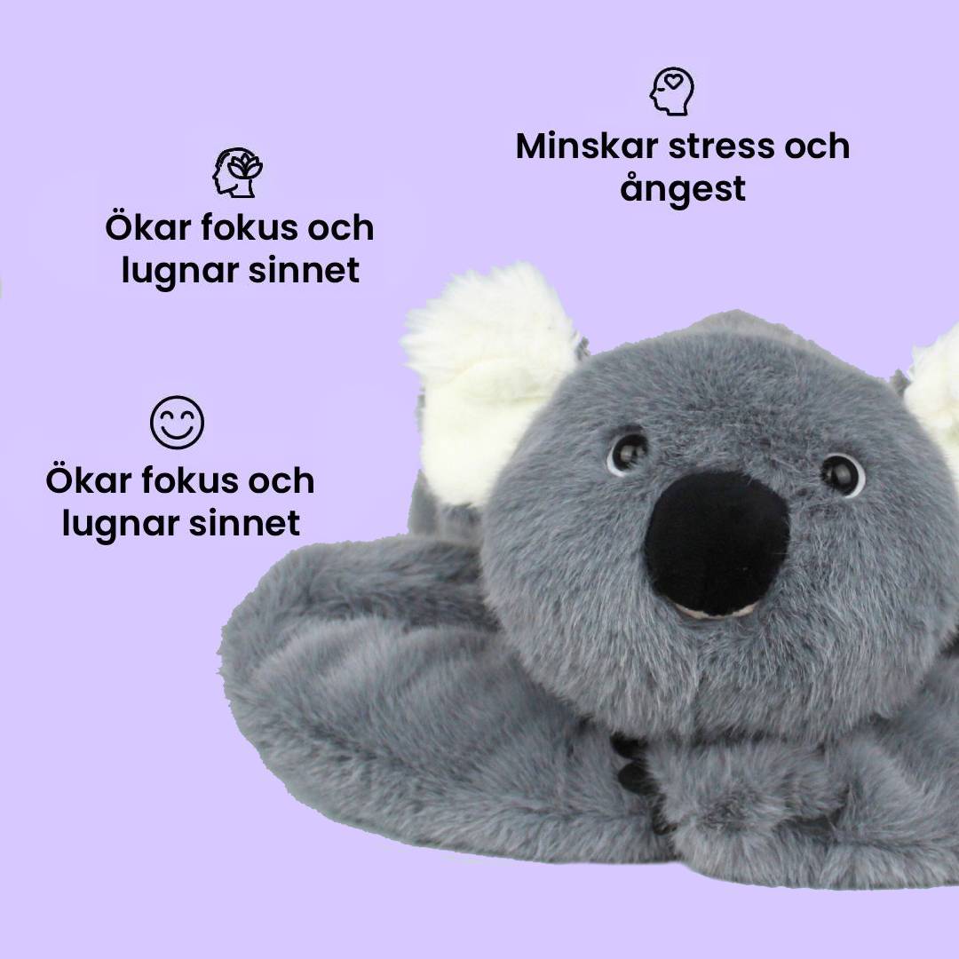 Yumoli - Sakin Koala Koko