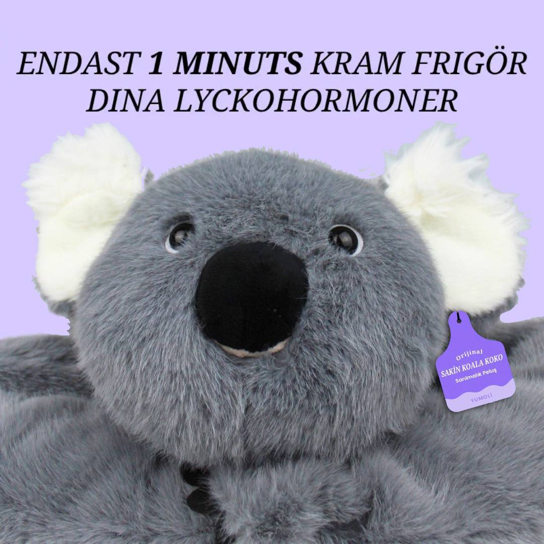 Yumoli - Sakin Koala Koko