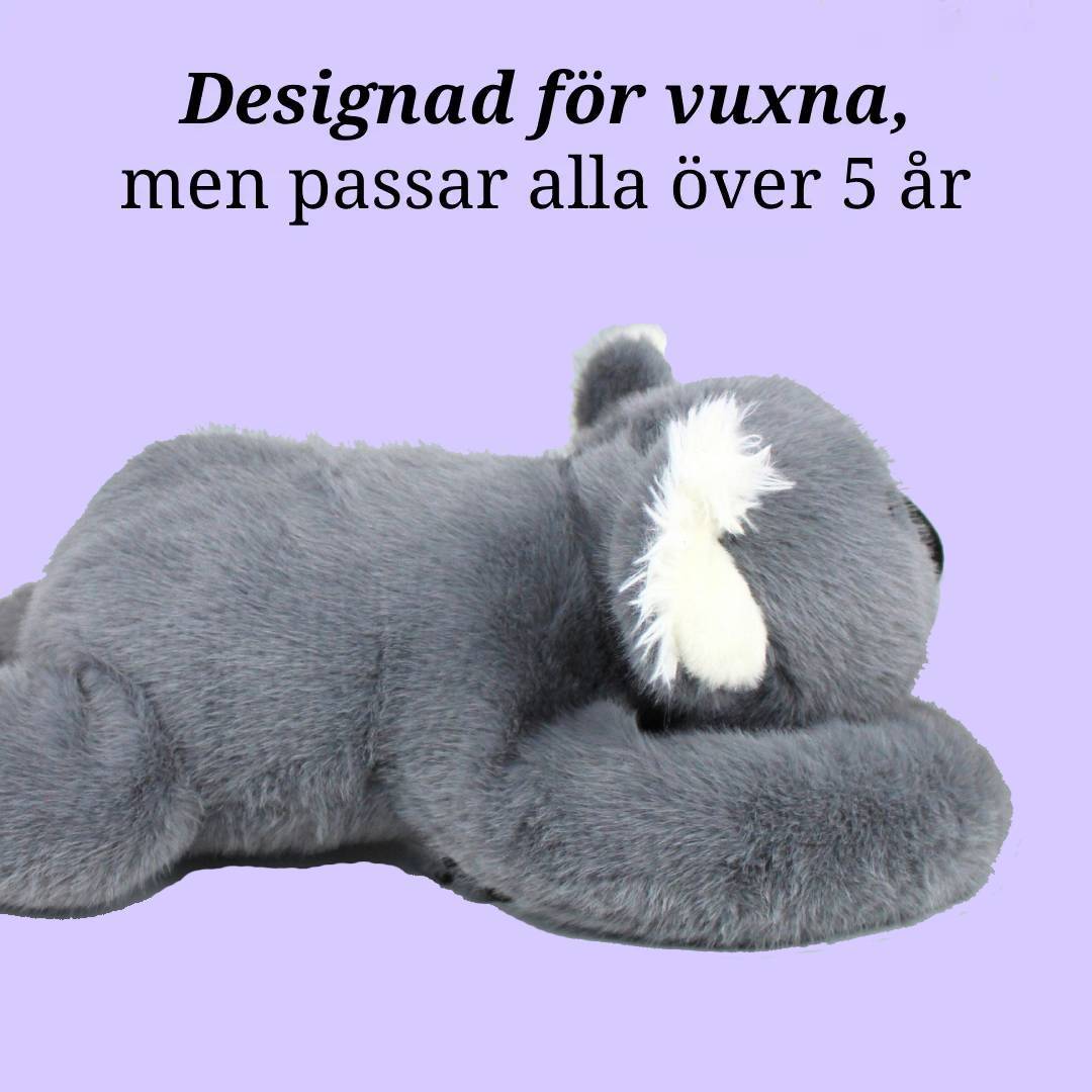 Yumoli - Sakin Koala Koko