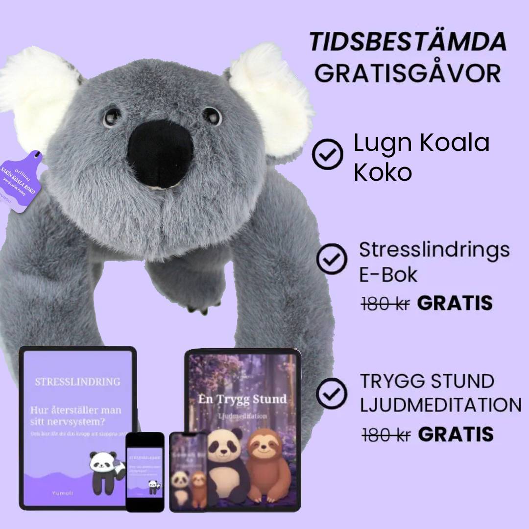 Yumoli - Sakin Koala Koko
