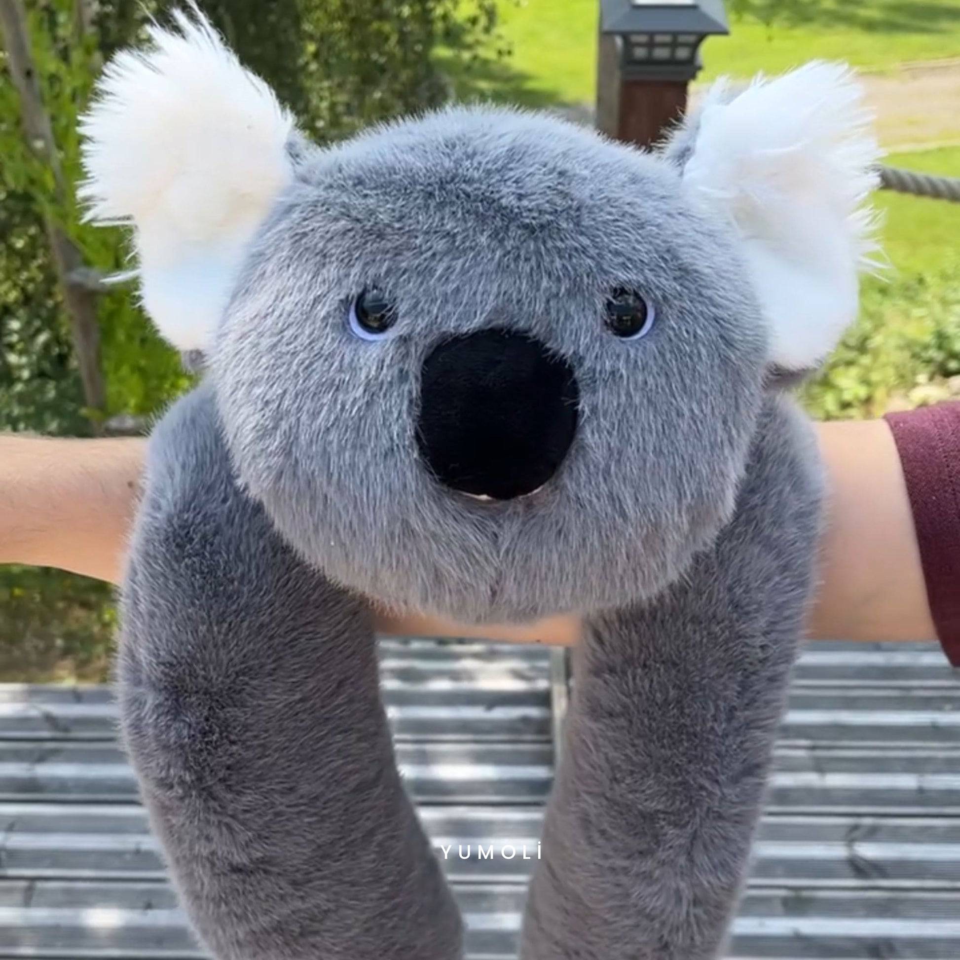 Yumoli - Sakin Koala Koko